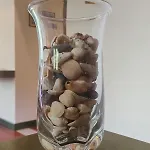 아파트 Oasi Lagomare